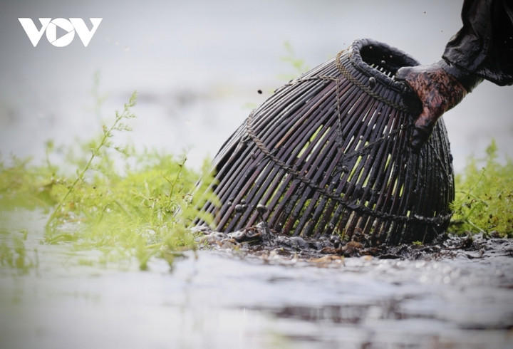Người dân nô nức trẩy hội 'phá trằm' bắt cá sau 2 năm gián đoạn do dịch bệnh - 8