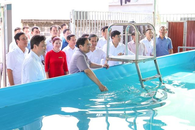 Thủ tướng: Đất nước thịnh hay suy là nhờ sự nghiệp giáo dục - 13