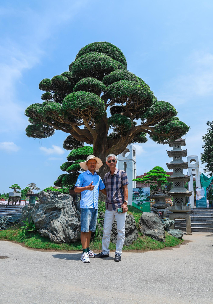 Ảnh: Loạt siêu cây cảnh hàng chục tỷ 'hội ngộ', đọ vẻ đồ sộ - 8