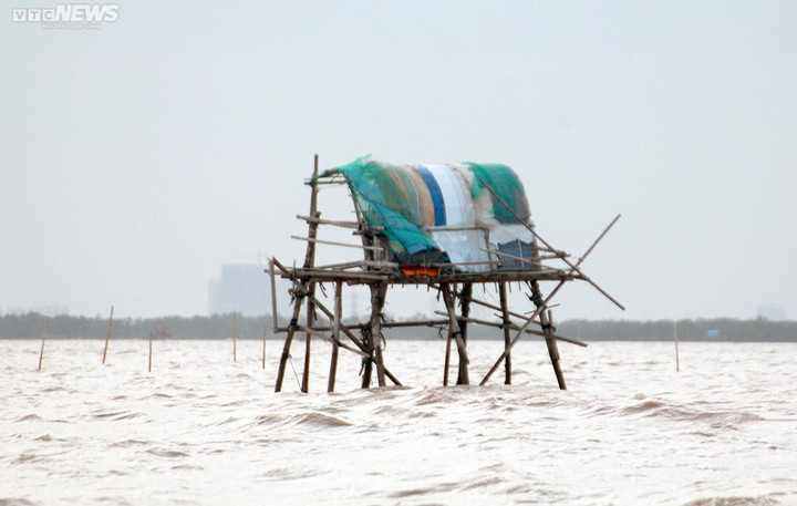 Hải Phòng sẽ giải tỏa hơn 100 hộ nuôi ngao không phép ven biển - 2