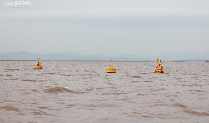 Hải Phòng sẽ giải tỏa hơn 100 hộ nuôi ngao không phép ven biển - 3