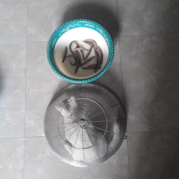 1001 cách đối phó khi 'sen' hết kiên nhẫn với sự 'phá hoại' của hội chó mèo - 6