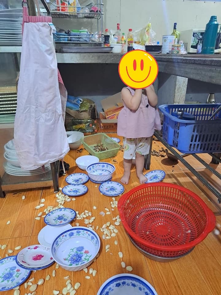 Cảnh 'nhanh tay lẹ mắt' của các siêu quậy nhí khiến bố mẹ vừa tức vừa cười ngất - 9