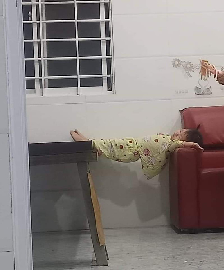 Cảnh 'nhanh tay lẹ mắt' của các siêu quậy nhí khiến bố mẹ vừa tức vừa cười ngất - 10