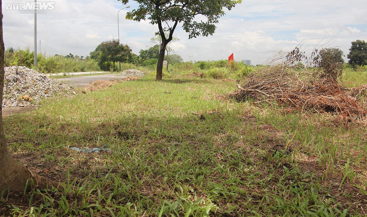 Nghịch cảnh trong đại dự án nhà ở tại quận Dương Kinh, Hải Phòng - 9