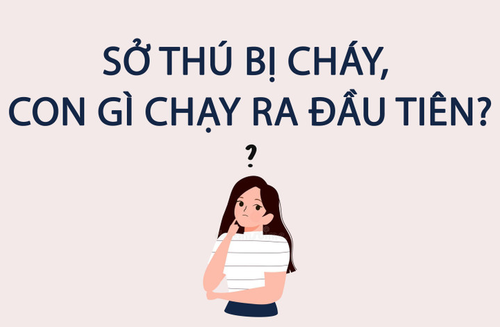 Câu đố cho người thông minh: Sở thú bị cháy, con gì chạy ra đầu tiên? - 1