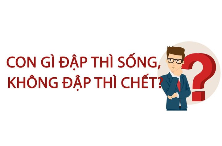 Con gì đập thì sống, không đập thì chết? - 1
