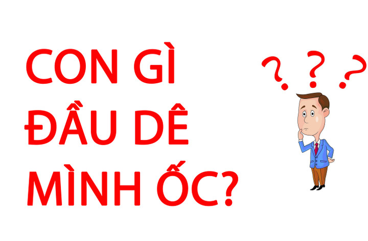 Câu đố mẹo: Con gì đầu dê mình ốc? - 1