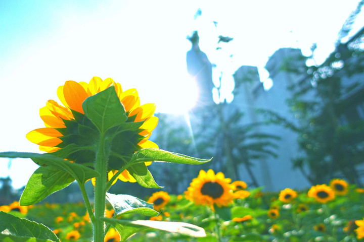 Sun World Ba Den Mountain tổ chức đêm hội trăng rằm với nhiều hoạt động hấp dẫn - 3