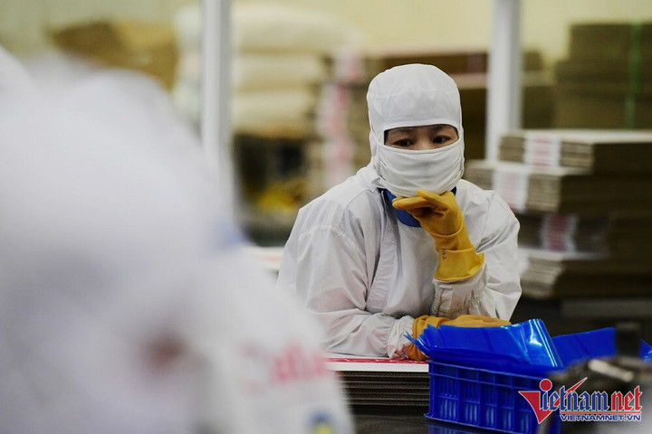 Cạn tiền, DN cho 500 người nghỉ việc: Phó Thống đốc nói sắp nới room tín dụng - 2