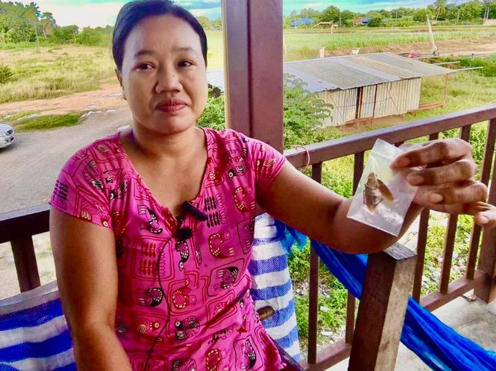 Người phụ nữ phải nhập viện cấp cứu vì bị gián cắn lúc đang ngủ - 2