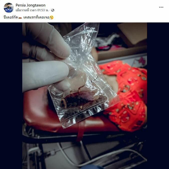 Người phụ nữ phải nhập viện cấp cứu vì bị gián cắn lúc đang ngủ - 1