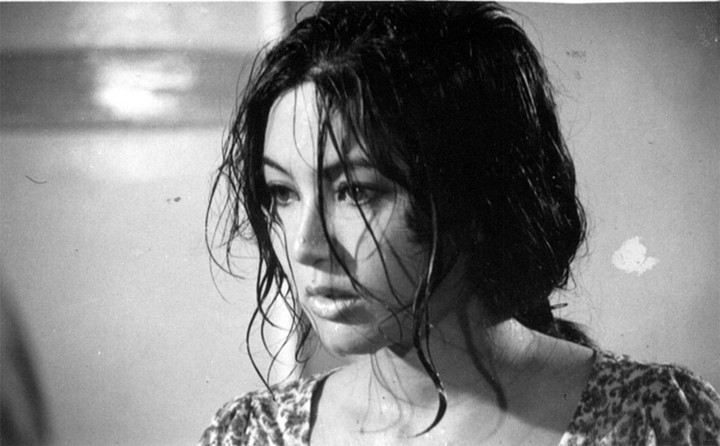 Ảnh: Nhan sắc tuyệt thế giai nhân của minh tinh Thẩm Thúy Hằng - 15