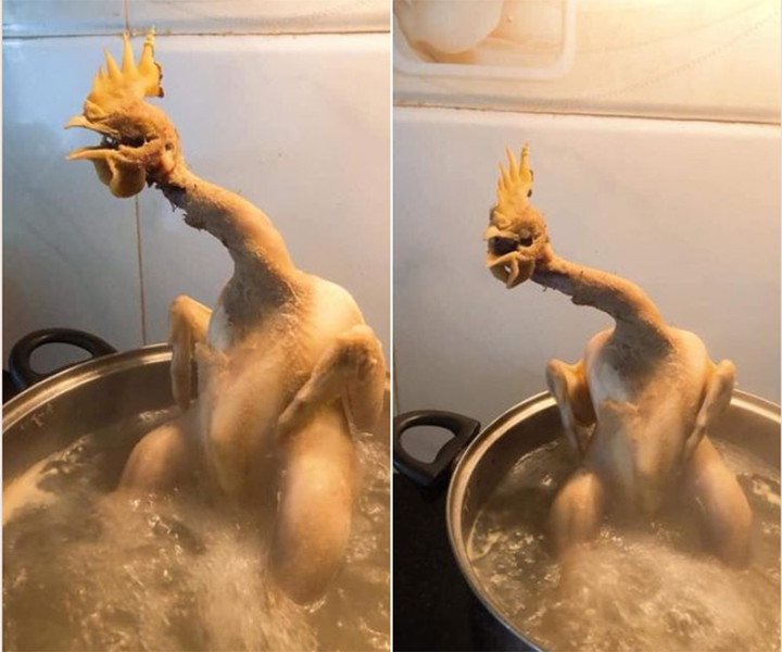 Đố nhịn cười khi xem ảnh thảm họa nấu ăn của 'những kẻ ghét bếp' này - 10