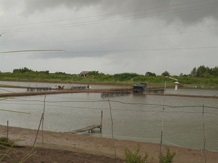 Trượt chân xuống ao nuôi tôm, 3 nữ sinh ở Thanh Hoá chết thương tâm - 1