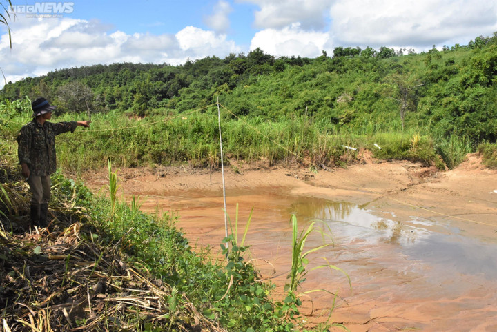 Mưa lớn nhiều ngày ở Gia Lai, ruộng đồng, hoa màu tan nát - 4