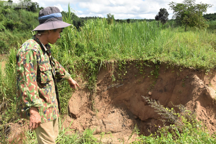 Mưa lớn nhiều ngày ở Gia Lai, ruộng đồng, hoa màu tan nát - 6