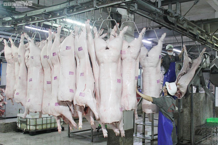 Giá heo hơi hôm nay 12/9: Tiếp diễn xu hướng bình ổn - 1