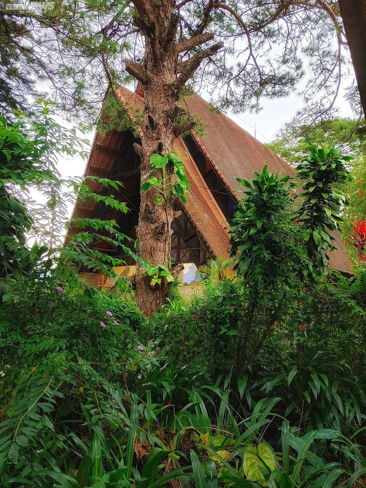 Ảnh: Khám phá nhà thờ gỗ mang kiến trúc nhà rông ở Đà Lạt - 3