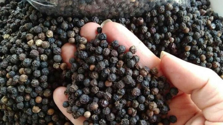 Giá tiêu hôm nay 13/9: Ổn định trong mức 66.000 - 69.000 đồng - 1