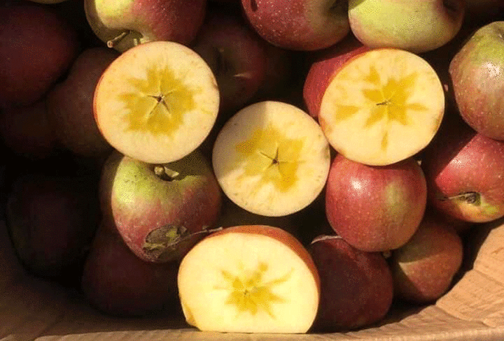 Táo đá Trung Quốc giá siêu rẻ ‘làm mưa làm gió’ tại chợ - 2