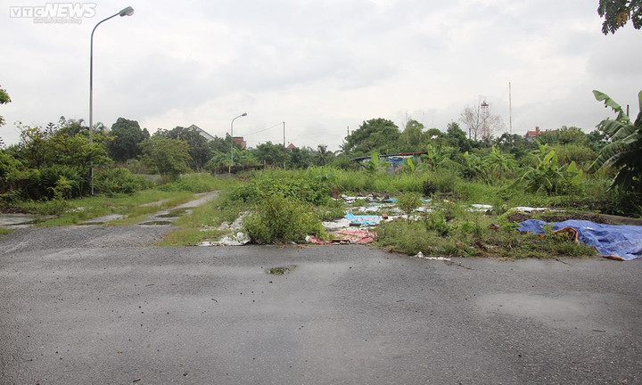 Đại dự án nhà bị bỏ hoang, cỏ mọc um tùm: Hải Phòng chỉ đạo kiểm tra, xử lý - 3