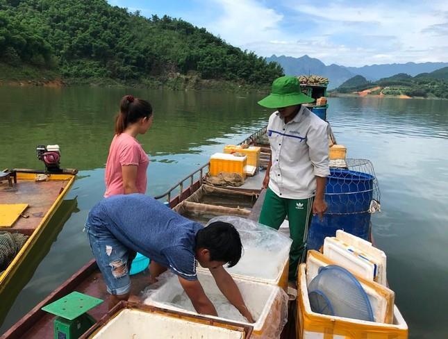 Săn loài cá lạ trên hồ thủy điện Hòa Bình - 3