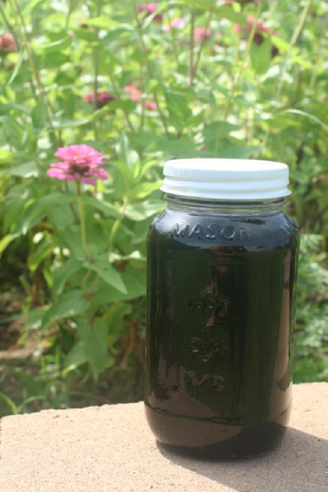 Phát hiện mật ong có màu tím kỳ lạ được tìm thấy trong tự nhiên đầy bí ẩn - 5