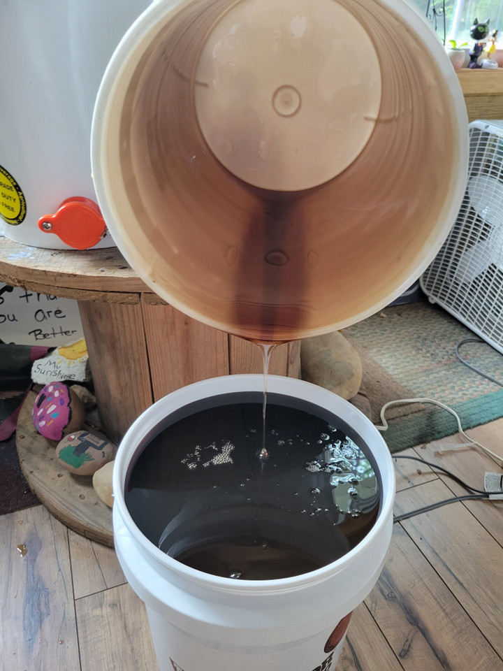 Phát hiện mật ong có màu tím kỳ lạ được tìm thấy trong tự nhiên đầy bí ẩn - 2