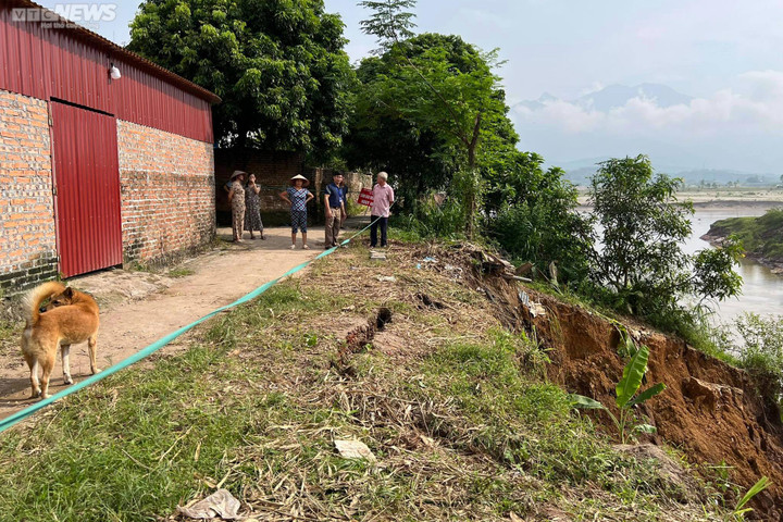 Ảnh: Bờ sông Đà sạt lở, cuốn bay nhà dân ở Phú Thọ - 4