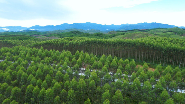 Tập đoàn du lịch hàng đầu Châu Á làm đẹp các điểm đến Việt Nam thế nào? - 9