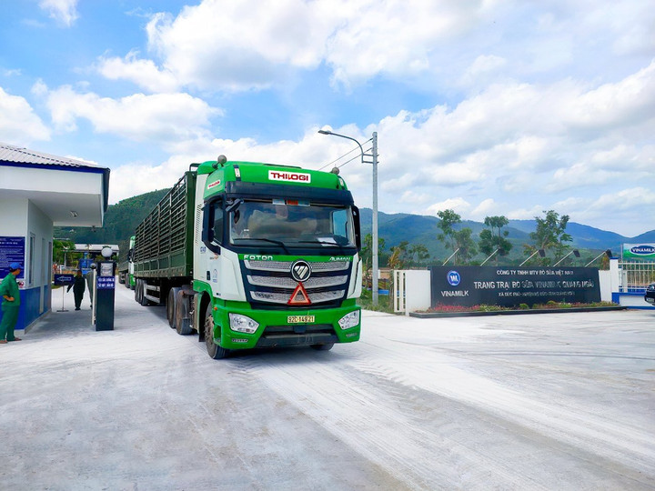 Thilogi cung ứng dịch vụ vận chuyển gia súc chuyên nghiệp - 4