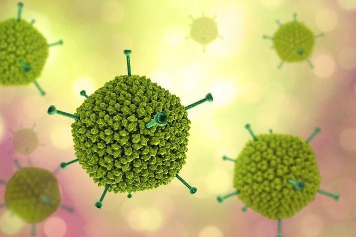 Virus Adeno có thể gây dịch bệnh mới không? - 1