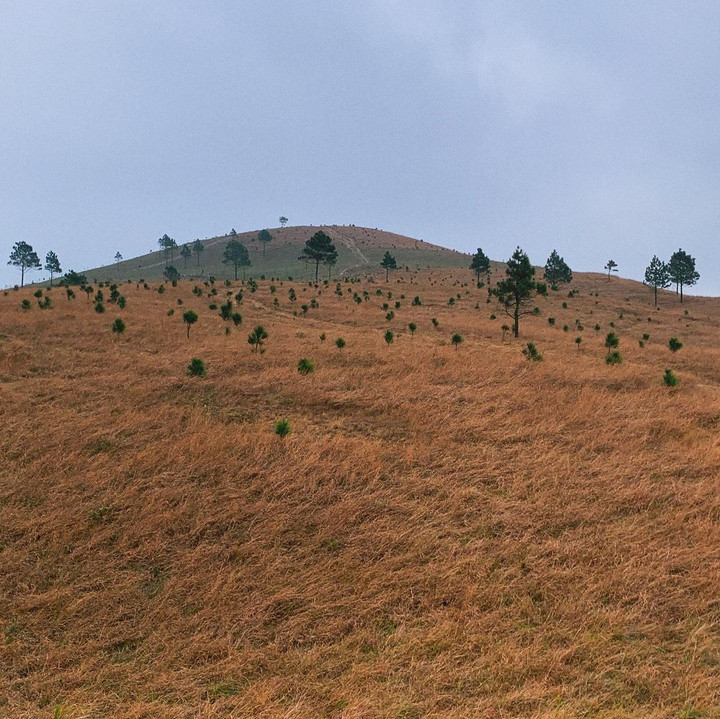 Ngọn đồi nằm giữa thành phố Uông Bí đẹp mơ màng sau mỗi lần ‘thay áo’ - 4