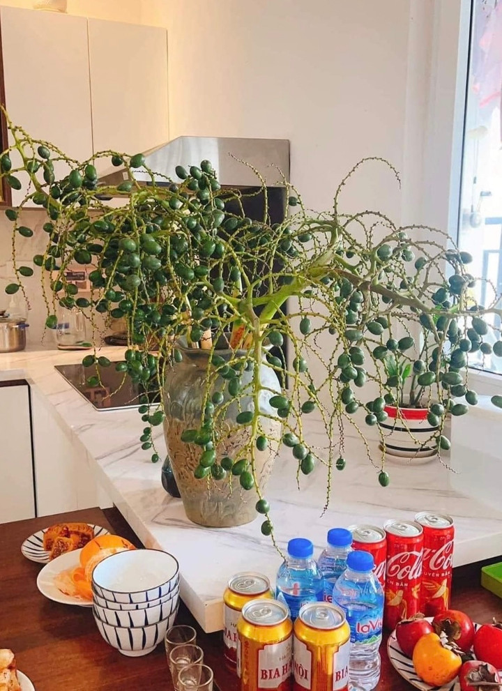 Khách thích trưng đồ độc lạ, cành cọ, cành thanh long bỗng chốc hút hàng - 2