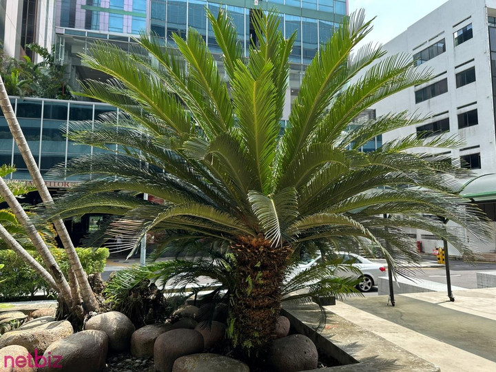 'Đập hộp' iPhone 14 Pro tại Singapore: Liệu có xứng đáng để đợi chờ? - 8