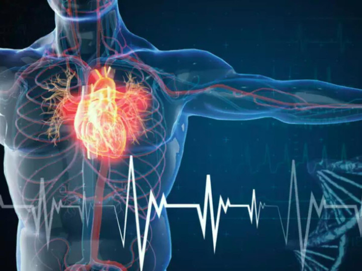 Sự thiếu hụt vitamin này có thể làm hỏng thành động mạch của bạn - 1