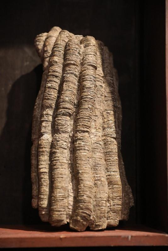 Bộ sưu tập tiền cổ “độc nhất vô nhị” của đại gia Sài Gòn - Hình 7 Bộ sưu tập tiền cổ 'độc nhất vô nhị' của đại gia Sài Gòn - 7