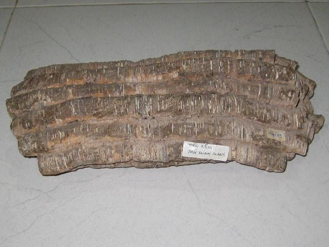 Bộ sưu tập tiền cổ “độc nhất vô nhị” của đại gia Sài Gòn - Hình 3 Bộ sưu tập tiền cổ 'độc nhất vô nhị' của đại gia Sài Gòn - 3