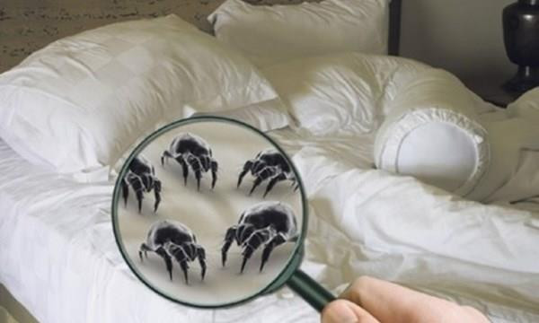 6 món đồ quen thuộc trong gia đình chính là 'ổ chứa' chất gây ung thư - 4