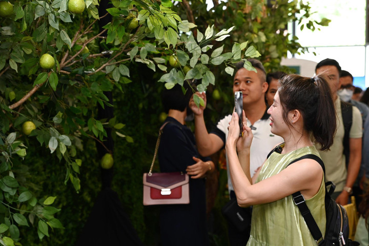 Phú Long ra mắt tháp đôi căn hộ cao cấp đầu tiên tại Essensia Nam Sài Gòn - 4