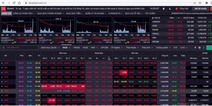 Cổ phiếu lao dốc hàng loạt, VN-Index mất gần 30 điểm - 1