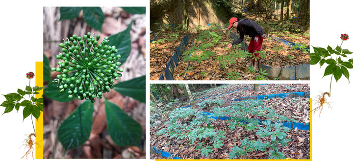 Nutifood trở thành ông chủ mới của thương hiệu sức khỏe châu Âu - 3