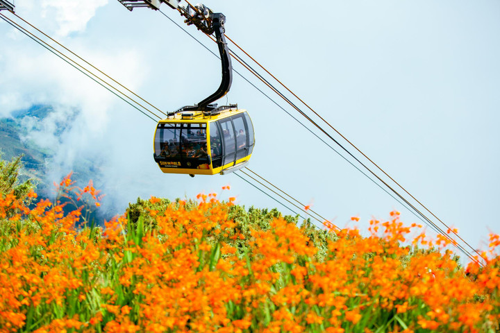 Đến Fansipan thu này, ngỡ như lạc giữa những thảo nguyên hoa - 9