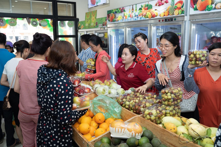 5 lời khuyên cho người trẻ khởi nghiệp từ CEO Gold Fruit - 2