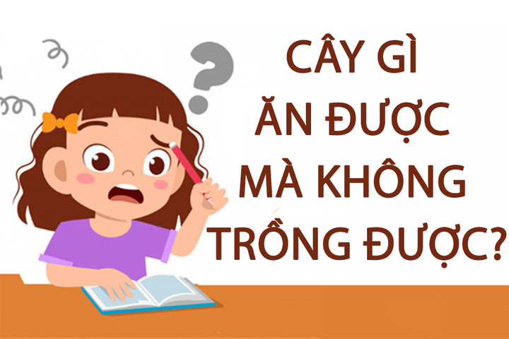 Câu đố hại não: Cây gì ăn được mà không trồng được? - 1