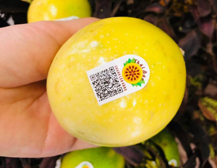 Chanh leo ngọt 'đắt khét', dân buôn cũng phải xếp hàng chờ mua - 2