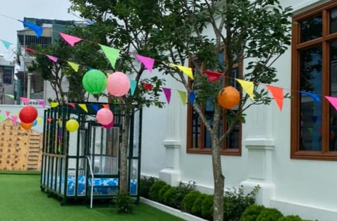 Tạm đình chỉ nữ giáo viên lấy gai bưởi châm vào tay trẻ mầm non - 2