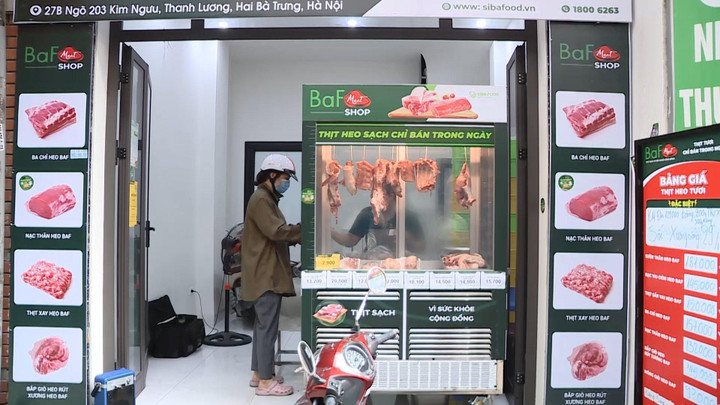 BaF khởi công 4 trại heo công nghệ cao ở Tây Ninh - 3