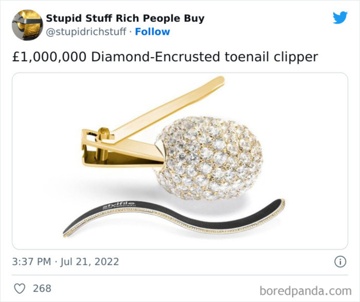 Sốc với những món đồ 'điên rồ' giá trên trời mà giới nhà giàu bỏ tiền tỷ để mua - 3